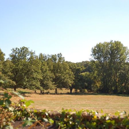 Gite Du Vieux Charme Villa Saint-Amand-en-Puisaye Eksteriør bilde